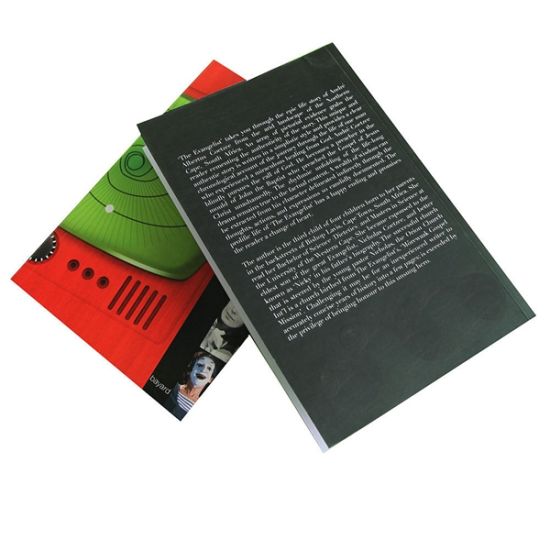 Brochure, Magazine, Cheap, Custom Book Printing (OEM-HE119)