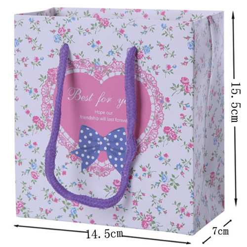 Hot Sale Custom Printed Fashion New Design Paper Package Bag