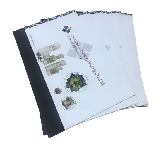 Offset Printing Cosmetic Brochure/Catalogue with High Quality