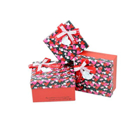 Cardboard Gift Paper Box Paper Cosmetic Box (OEM-CB005)